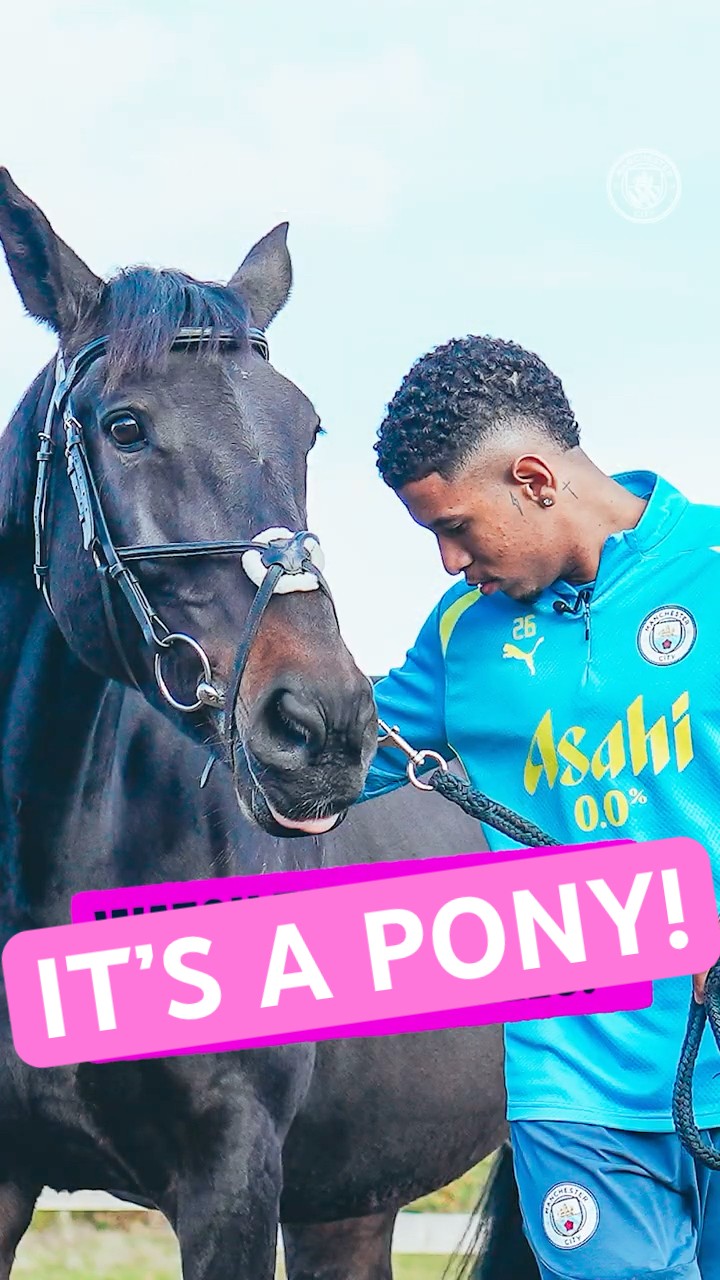 ??? Savinho is absolutely obsessed with ponies! ? #mancity #savinho #horse
